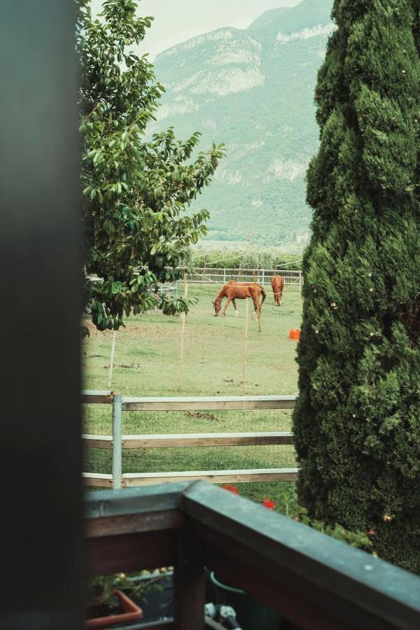 Az. Agr. Tenuta La Casetta Mama di Sopra Exterior foto
